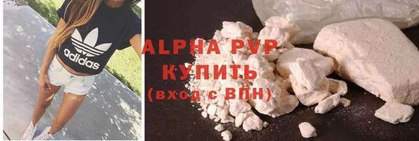 сатива Беломорск