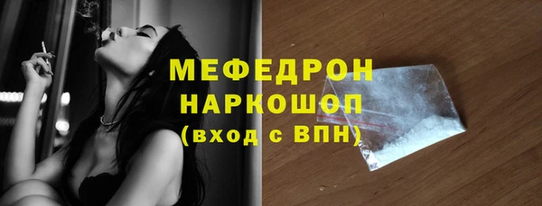 сатива Беломорск