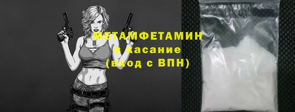 сатива Беломорск