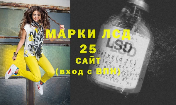 сатива Беломорск