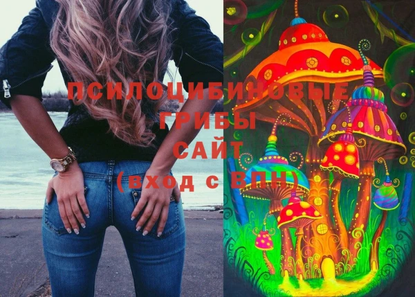 сатива Беломорск
