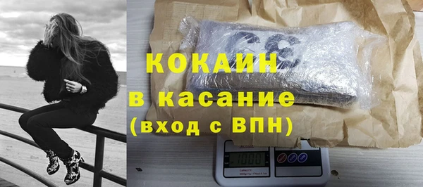сатива Беломорск