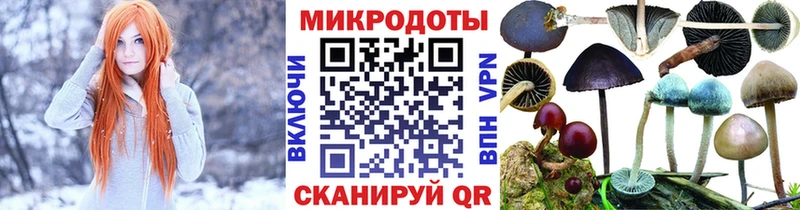 Галлюциногенные грибы мухоморы  Дрезна 